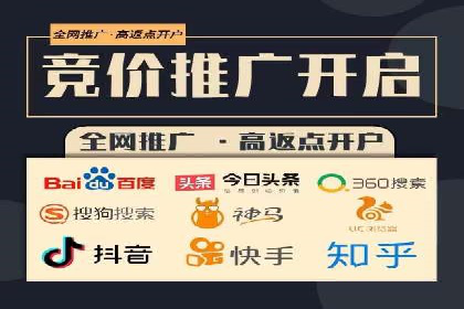 某某SEM团队成功提升网站流量与转化率的实战经验